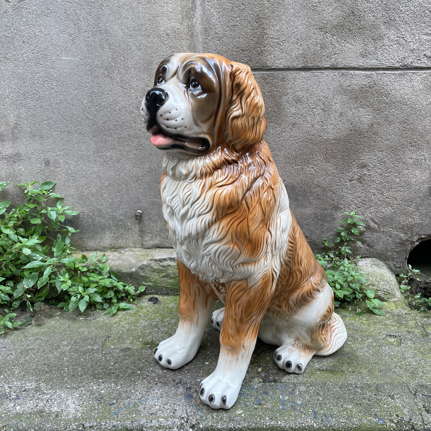 Statue chien Saint-Bernard céramique émaillée