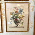 Lot de 4 grandes gravures  bouquets de fleurs d'apères Jean-Baptiste Monnoyer