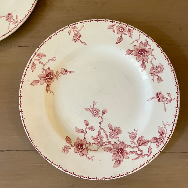 Assiette plate En faïence de Lunéville modèle Hollandais rose XIXe