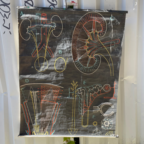 Curiosités et insolites