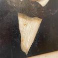 Portrait XIXe L'homme à la moustache