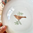 Lot de 12 assiettes en porcelaine Bernardaud "Les oiseaux d'or"