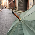 Parapluie vintage vert foncé
