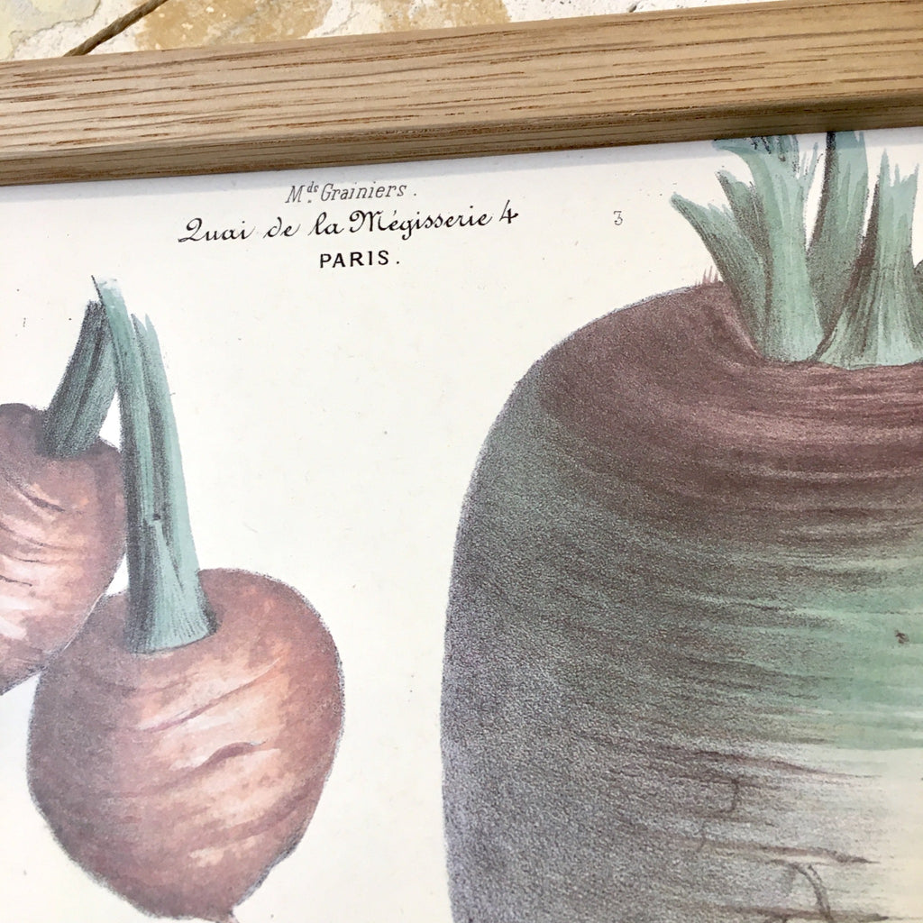 Affiche Vilmorin Andrieux et Cie