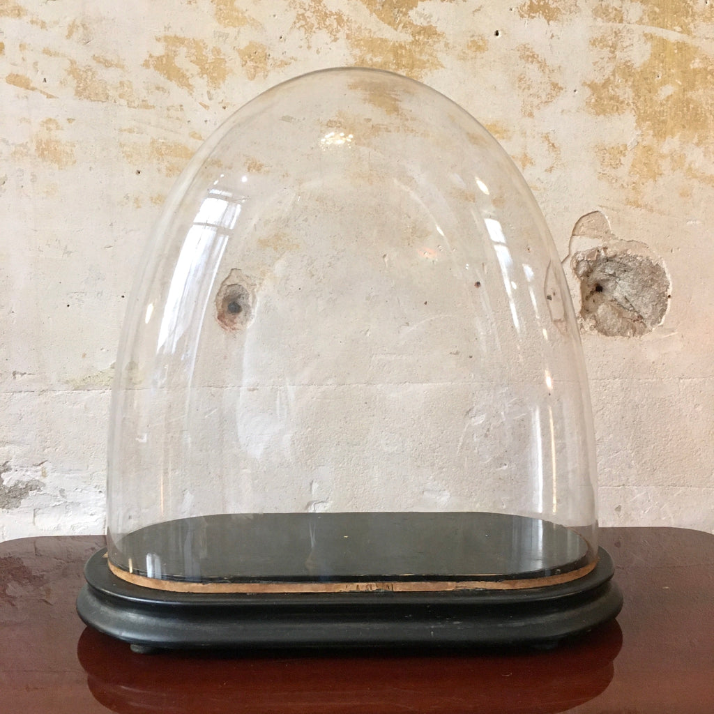 Globe de mariée Napoléon 3