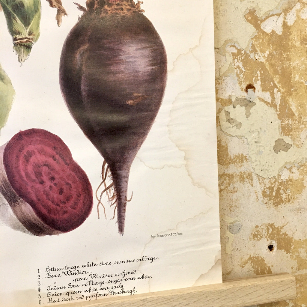 Affiche Vilmorin Andrieux et Cie