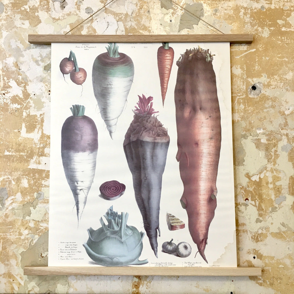 Affiche Vilmorin Andrieux et Cie