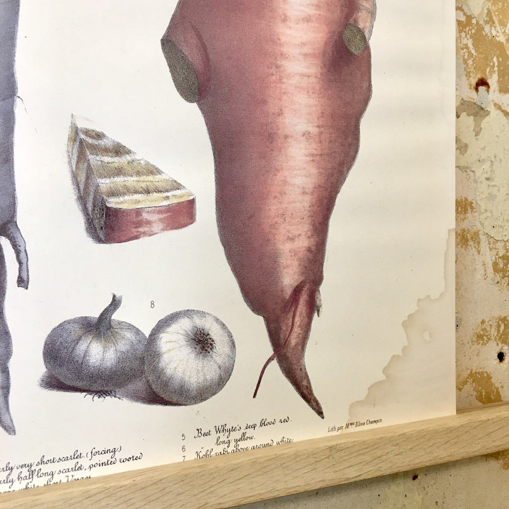 Affiche Vilmorin Andrieux et Cie