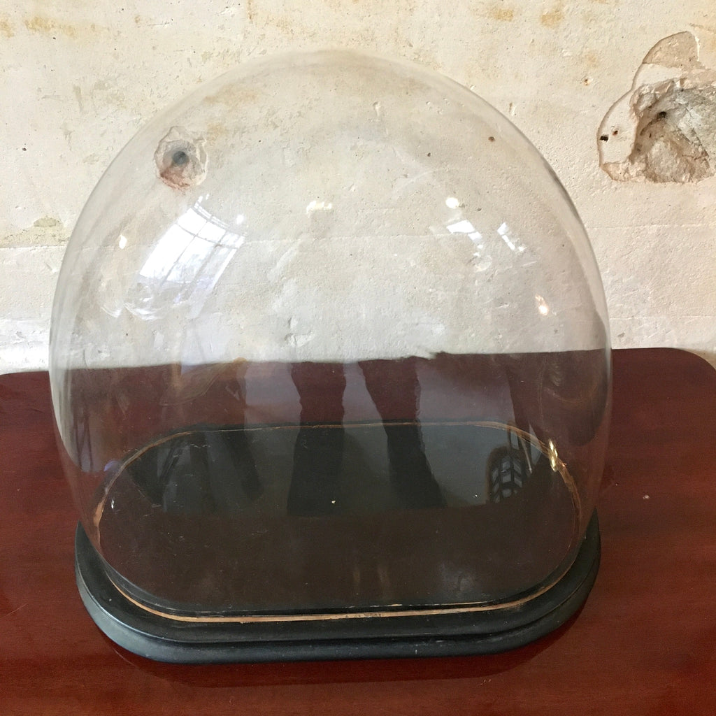 Globe de mariée Napoléon 3