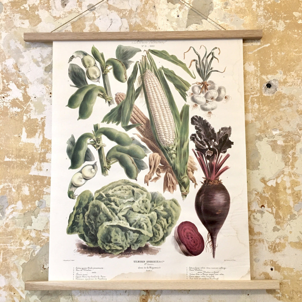 Affiche Vilmorin Andrieux et Cie