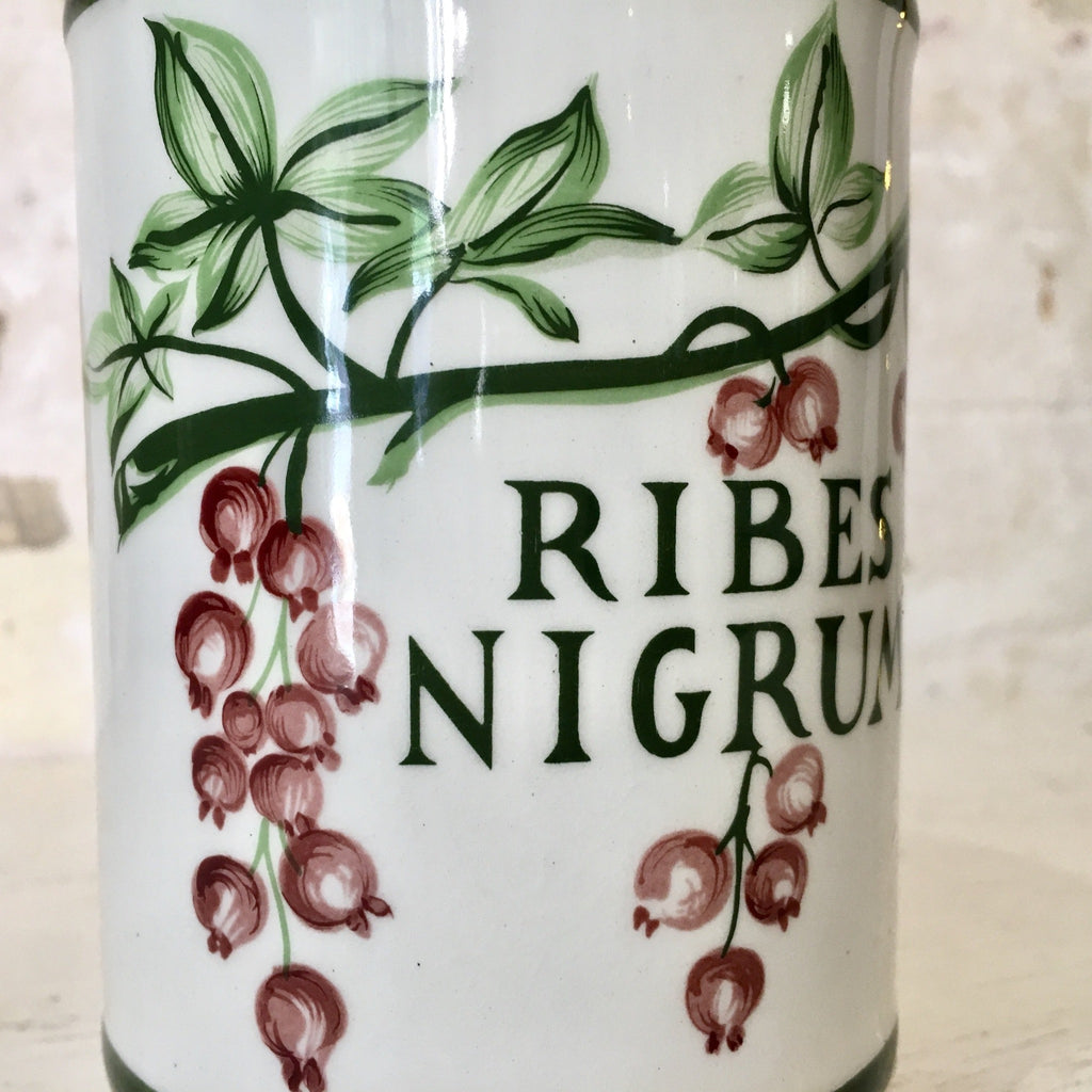 Pot d'apothicaire Ribes Nigrum en faïence de Longchamp