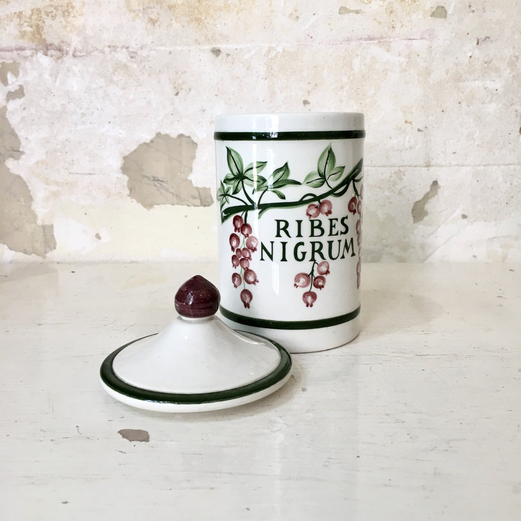 Pot d'apothicaire Ribes Nigrum en faïence de Longchamp