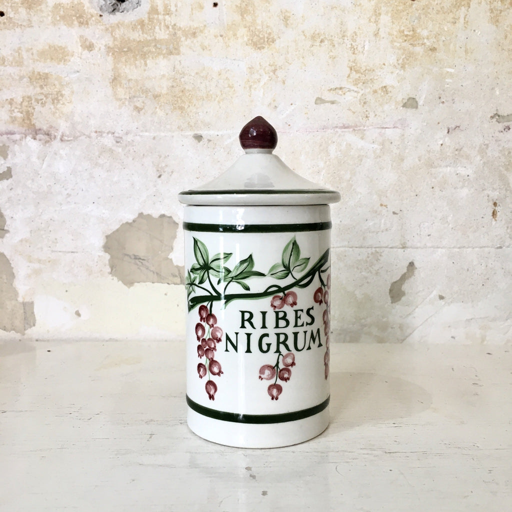 Pot d'apothicaire Ribes Nigrum en faïence de Longchamp