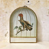 Décoration murale cage dorée oiseau Moucherolle Royal
