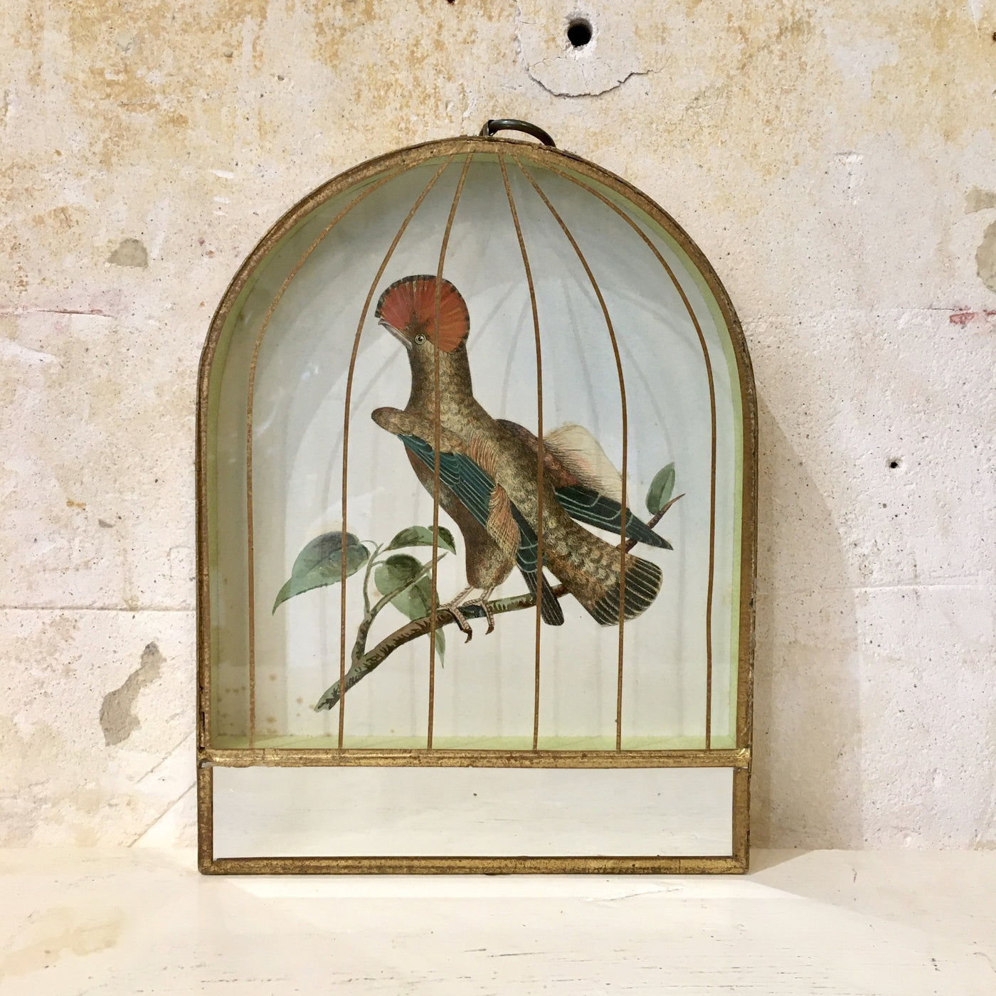 Décoration murale cage dorée oiseau Moucherolle Royal
