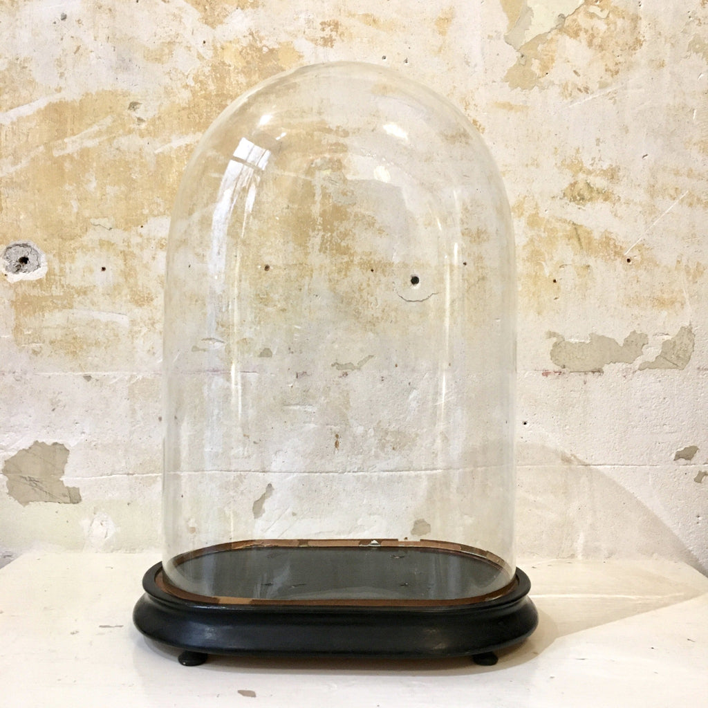 Globe de mariée Napoléon III - cloche en verre sur socle en bois