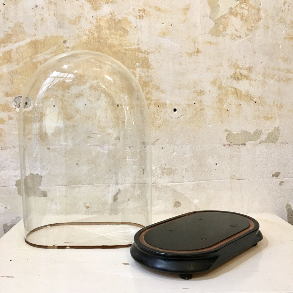 Globe de mariée Napoléon III - cloche en verre sur socle en bois